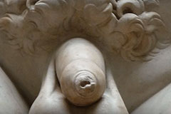 historyofpenis